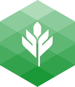 Oak Tree Tech Solutions